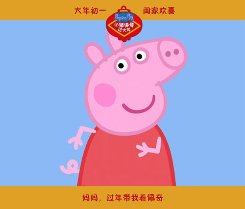 哪里可以办假注册会计师